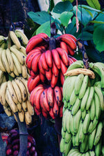 Ever Wondered What Goodness is in a Banana?  Benefits of the Banana