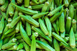 OKRA: The Under-Rated Green Superfood